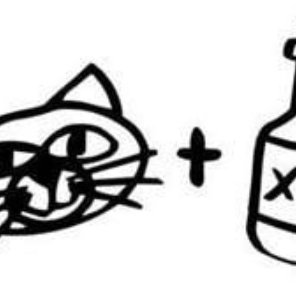 Meet your Posher, Cody - Picture 5 of 5